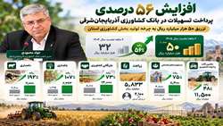 افزایش ۵۶ درصدی پرداخت تسهیلات در بانک کشاورزی آذربایجان شرقی
